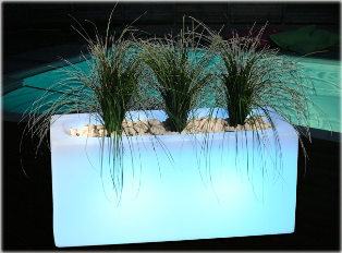 Jardinière lumineuse