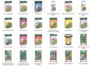 Semences Mélange de Fleurs