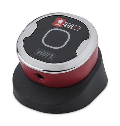 IGrill Mini main image